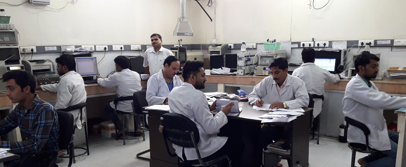 Our Best Team Working In Lab